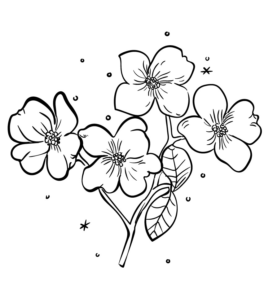 Dibujo De Flores Para, dibujo de flores para colorear, dibujo de flores para imprimir, dibujo de flores para colorear e imprimir, dibujo de flores para pintar, dibujo de flores para bordar, 