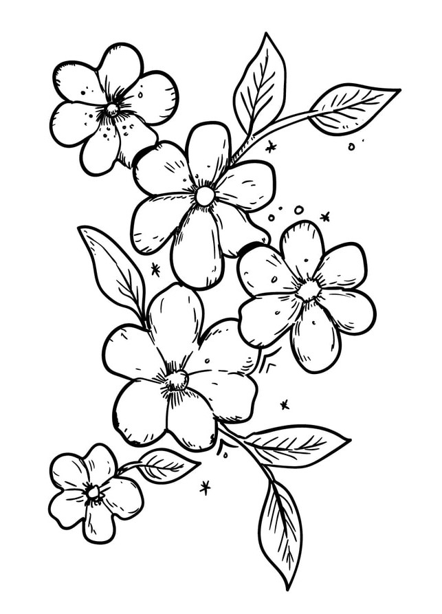 Dibujo De Flores Para, dibujo de flores para colorear, dibujo de flores para imprimir, dibujo de flores para colorear e imprimir, dibujo de flores para pintar, dibujo de flores para bordar, 