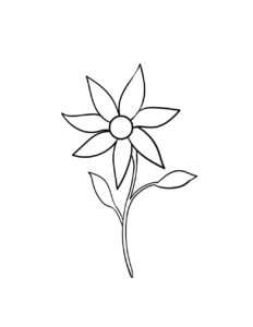 como dibujar una flor, como dibujar una flor fácil, como dibujar una flor de loto, como dibujar una flor paso a paso, como dibujar una flor realista, como dibujar una flor de la vida, como dibujar una flor de nochebuena paso a paso, como dibujar una flor amarilla,